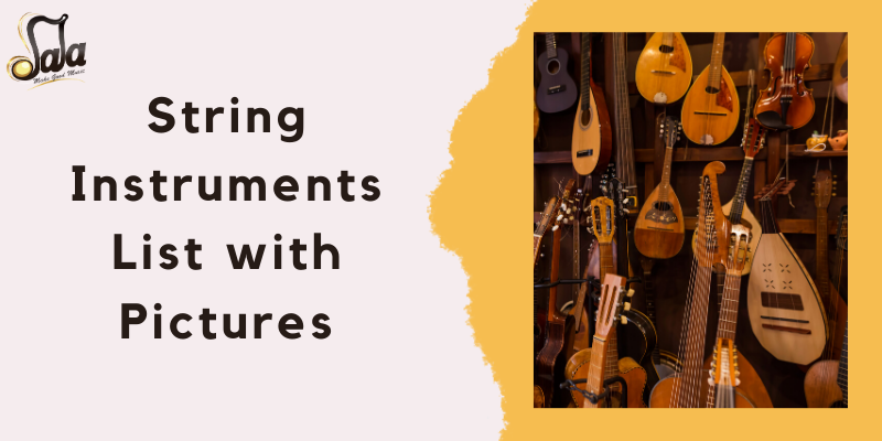 Illustrated list of traditional string instruments with pictures and descriptions