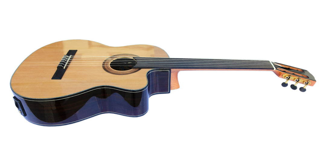 Professional Fretless Electric Classical Guitar With Equalizer CP-3
