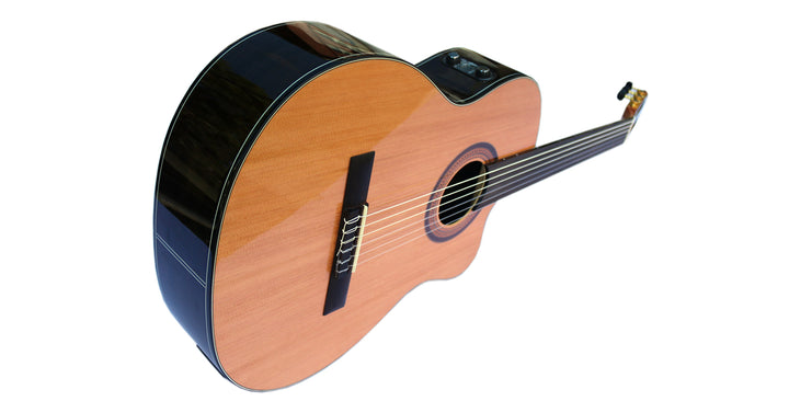 Professional Fretless Electric Classical Guitar With Equalizer CP-3