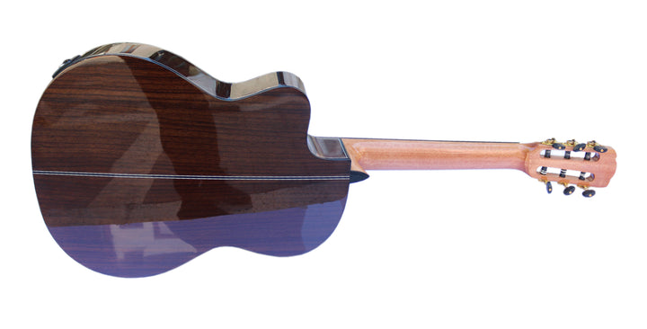 Professional Fretless Electric Classical Guitar With Equalizer CP-3