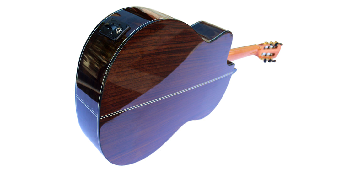 Professional Fretless Electric Classical Guitar With Equalizer CP-3
