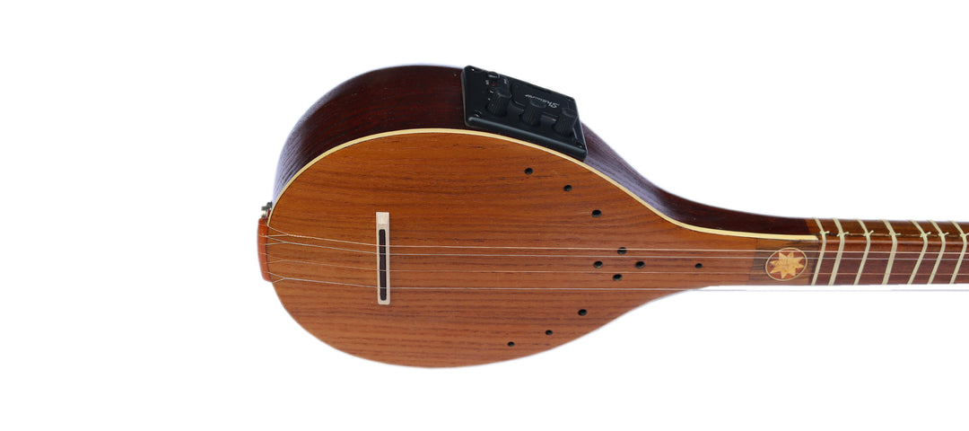 Electric setar ES-4 by Sala with built-in equalizer Persian instrument