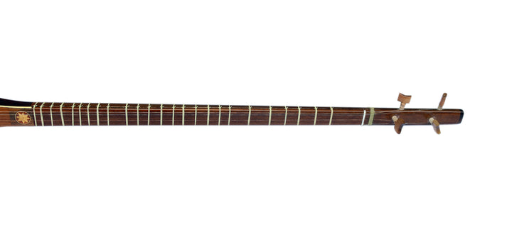 Sala electric acoustic setar ES-4 amplified Persian lute
