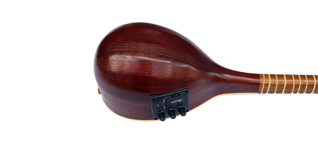 Setar ES-4 by Sala with mulberry body and electric output