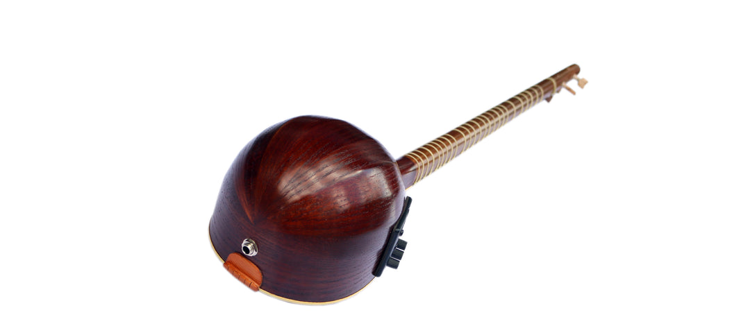 Electric setar ES-4 by Sala stage-ready Persian instrument