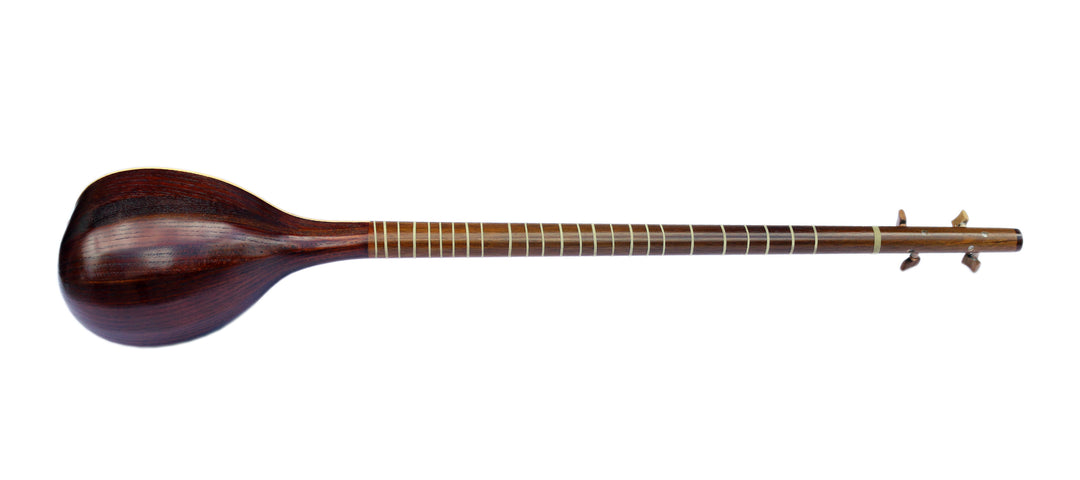 Sala electric setar ES-4 with equalizer concert Persian lute