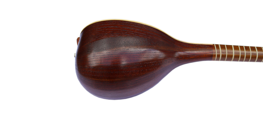 Setar ES-4 by Sala amplified Persian classical instrument