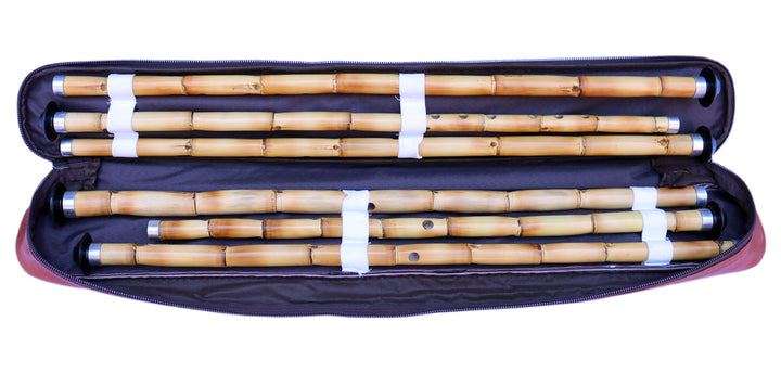 Ney protective gig bag DNB-206 by Dest for safe transport