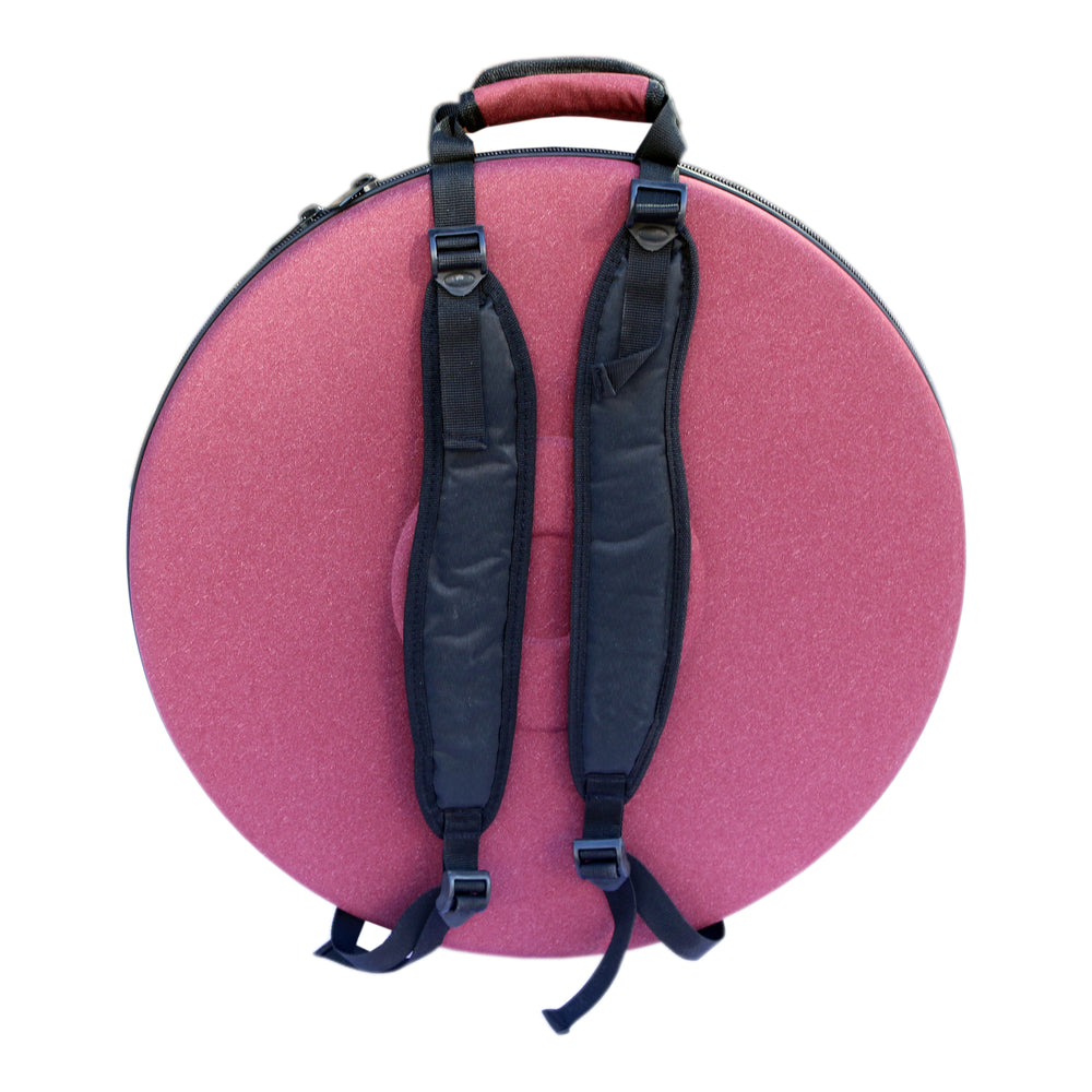 Daf hard case DH-3B by Sala with padded interior