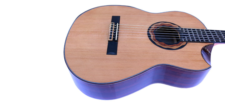 Sala Adjustable Microtonal Classical Guitar CK-5