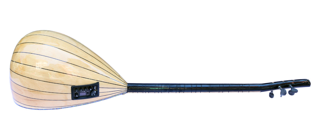 Dest RT1 electric baglama saz with rhythm system