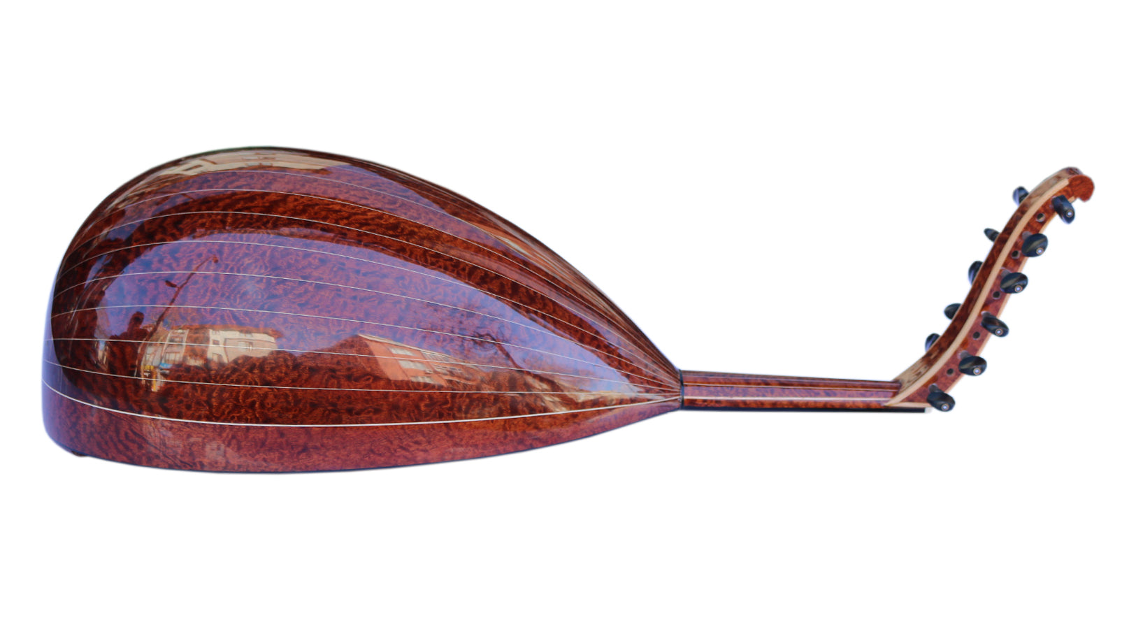 Oud turco de Pomela UNQ-2 por Miras
