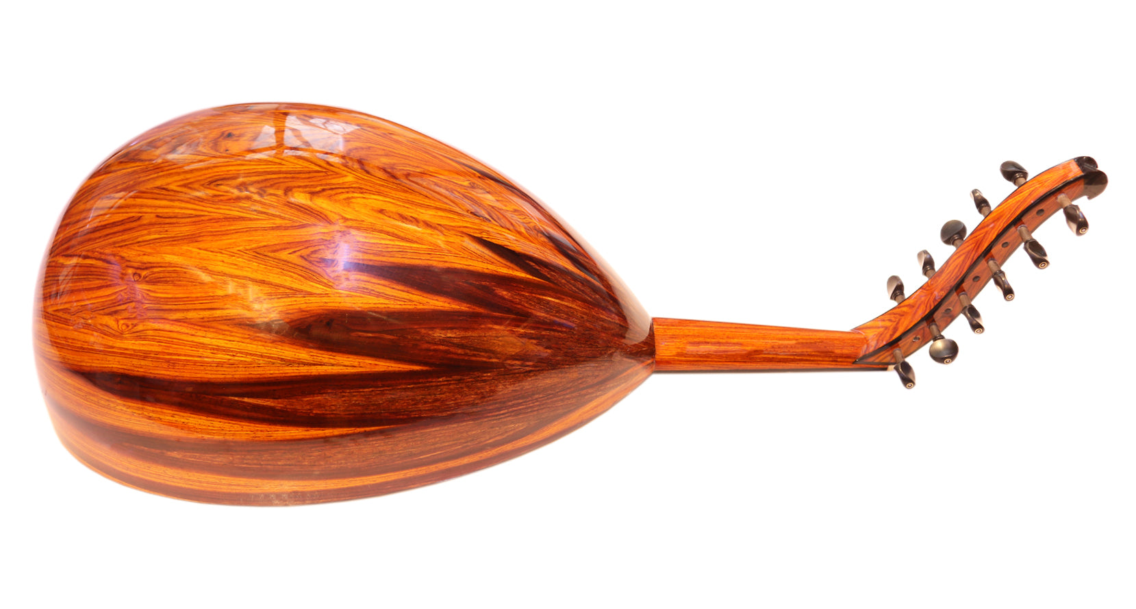 Oud árabe Cocobolo Majesty de doble tabla