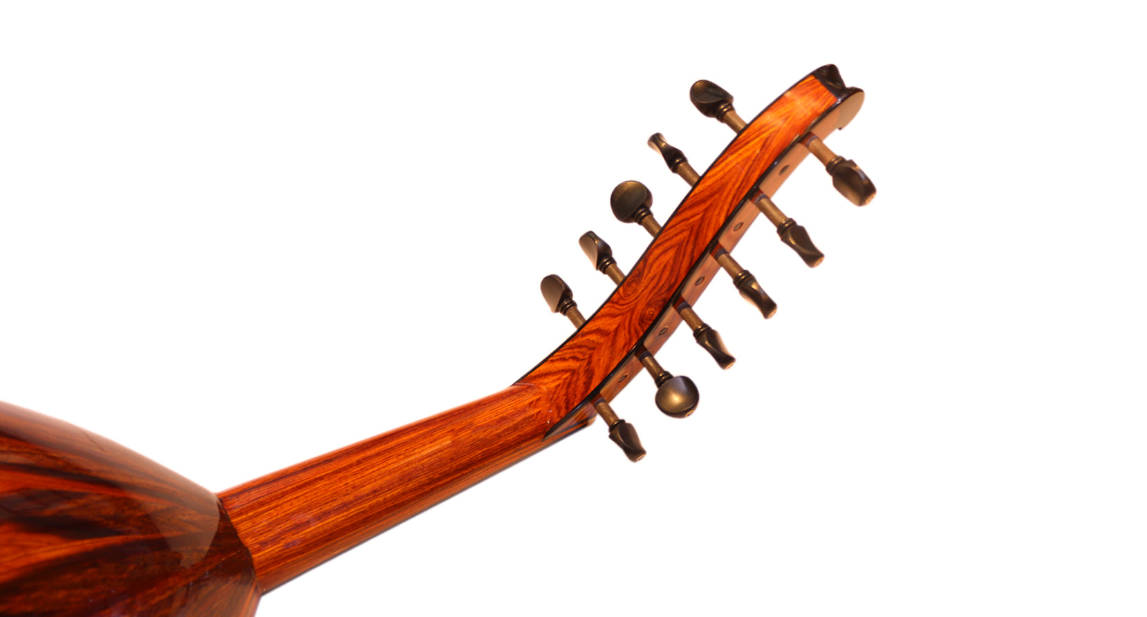 Oud árabe Cocobolo Majesty de Miras Lute