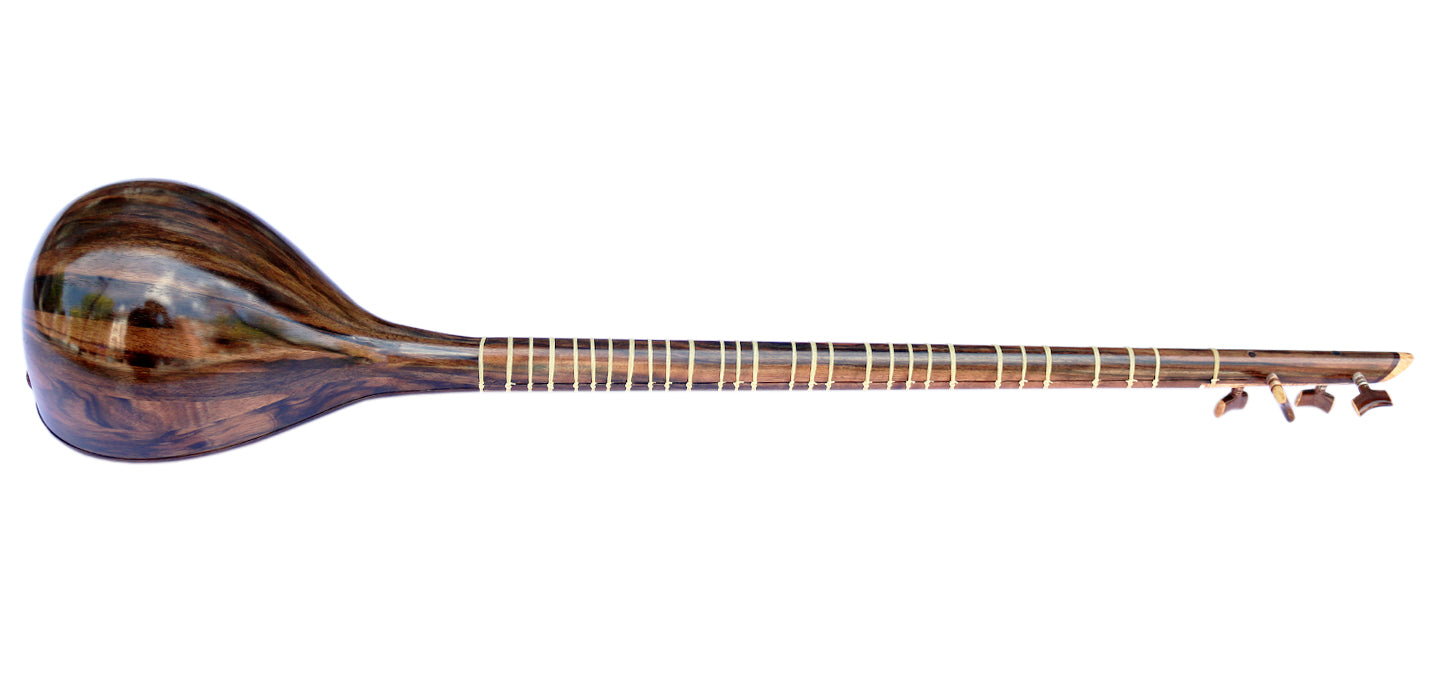 Setar persa Nadali ProSetar-27 instrumento punteado tradicional