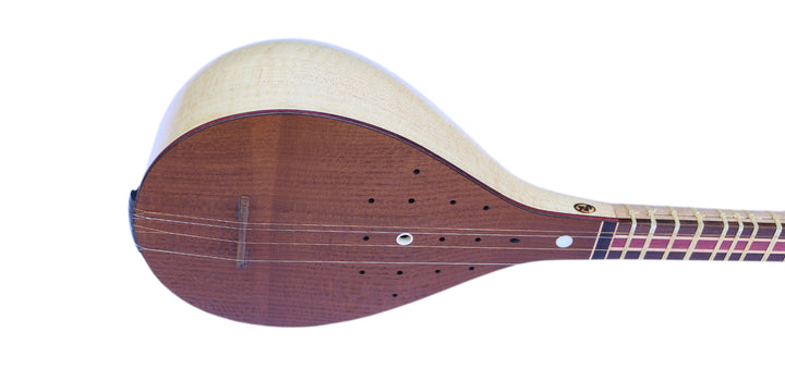Setar ProSetar-26 by Nadali concert Persian plucked instrument