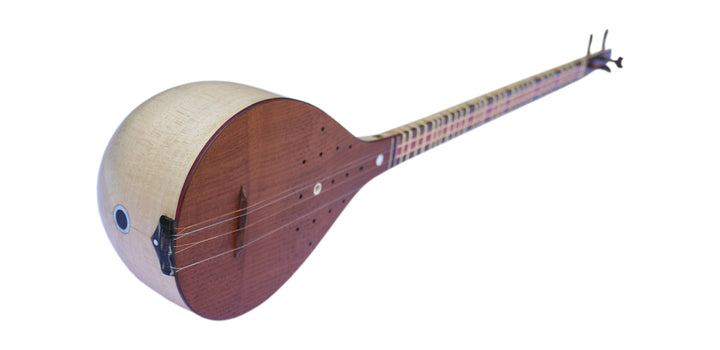 Setar ProSetar-26 by Nadali handcrafted Persian classical lute