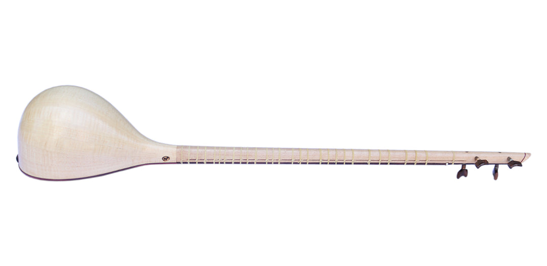Nadali setar ProSetar-26 stringed Persian instrument with walnut neck