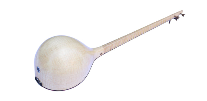 Nadali setar ProSetar-26 Persian classical plucked lute