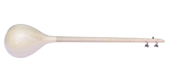 Setar ProSetar-26 by Nadali concert Persian long-neck instrument