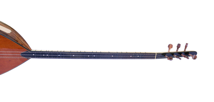 Sala long neck electric acoustic baglama ALB-303EQ