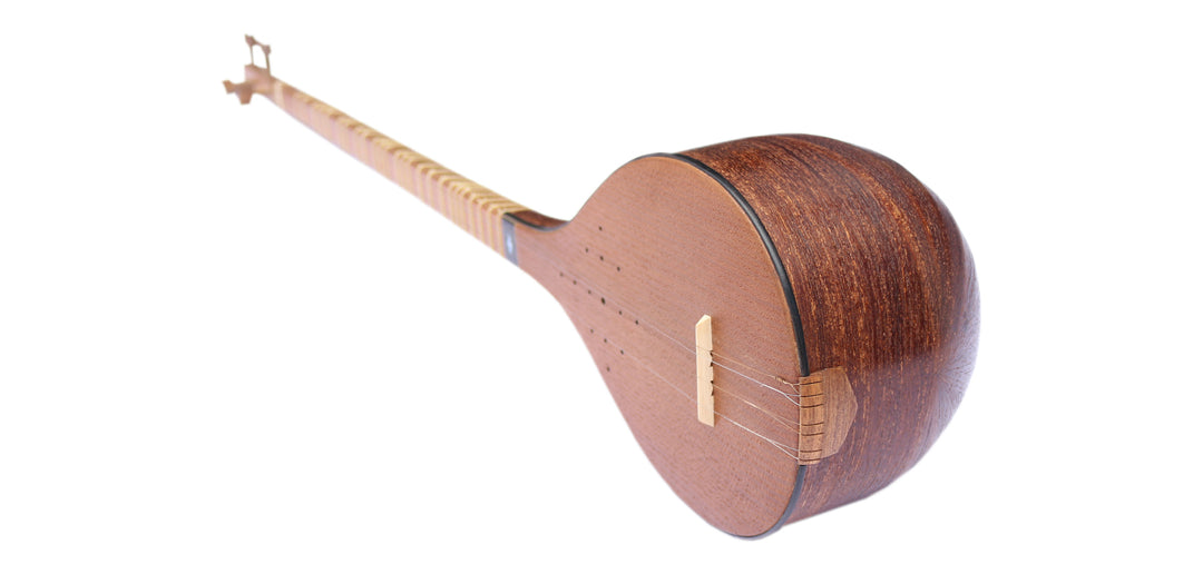 Walnut setar MOS-4L by Movlana concert Persian classical lute
