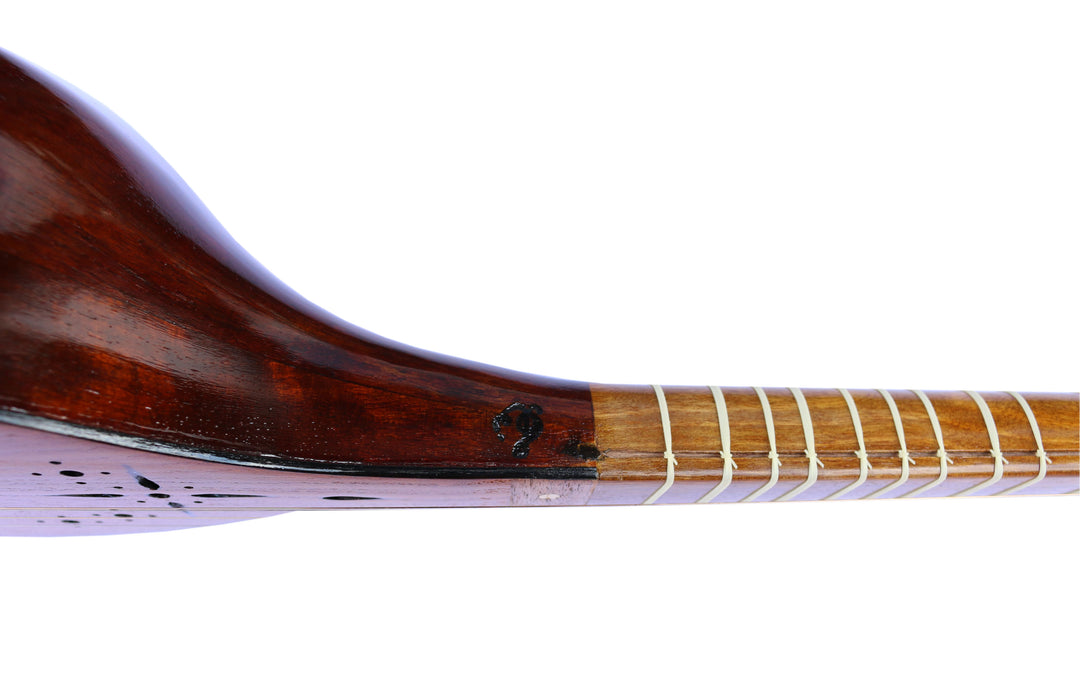 Setar by Nava concert Persian plucked instrument with bag