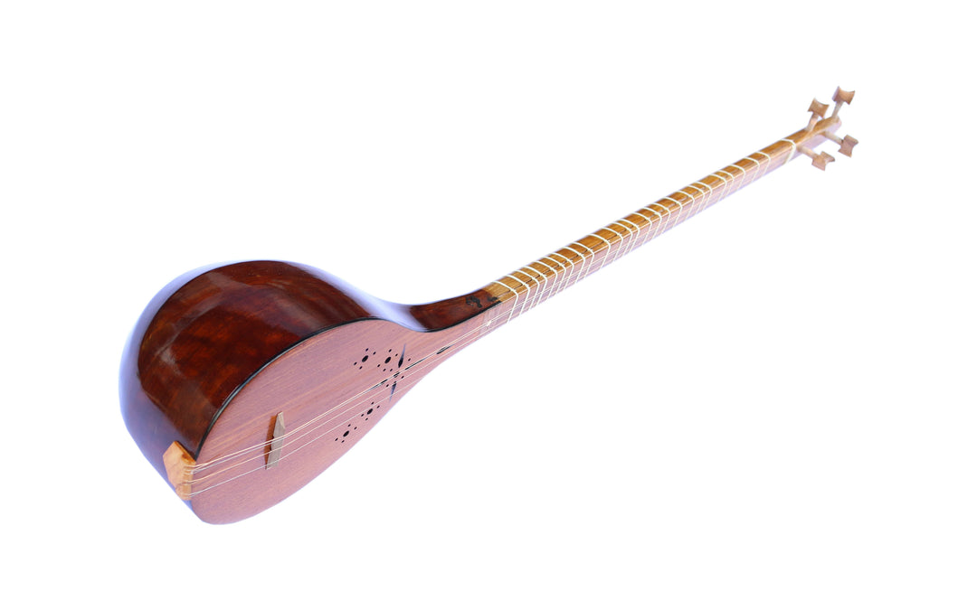 Nava Persian setar luthier instrument with mulberry body