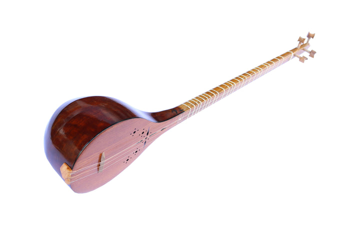 Nava Persian setar luthier instrument with mulberry body
