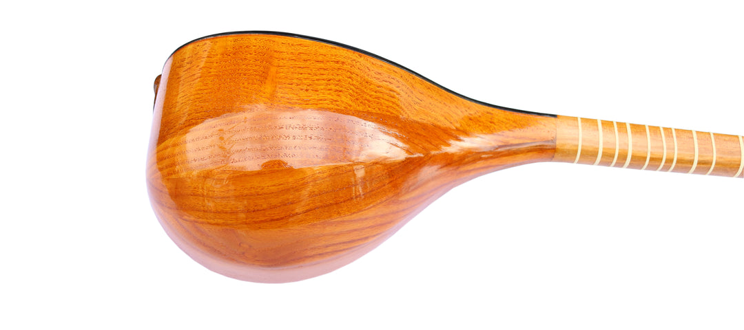 Setar by Nava handcrafted Persian classical long-neck lute