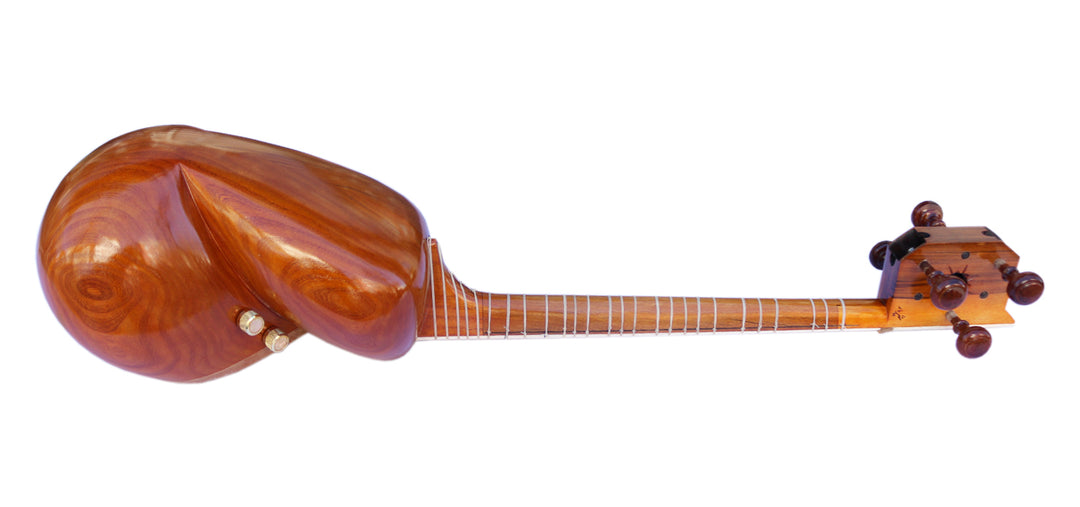 Electric tar MET-4 by Sala stage-ready Persian instrument