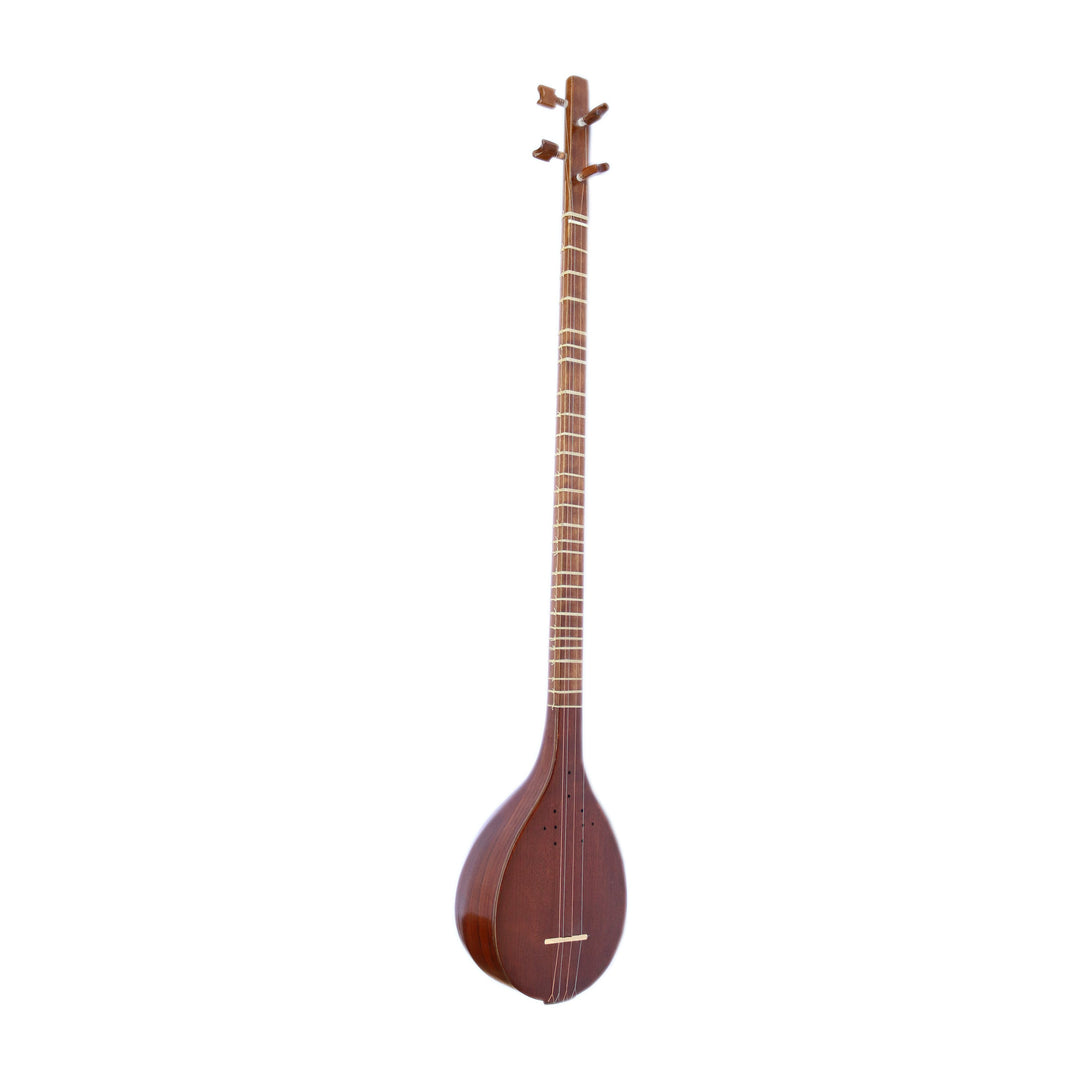 Hormoz High Quality Setar HS-308