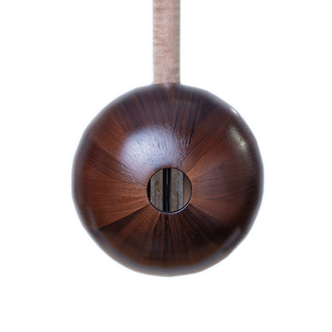 Special Azeri kamancha AZK-402 by Aler concert instrument