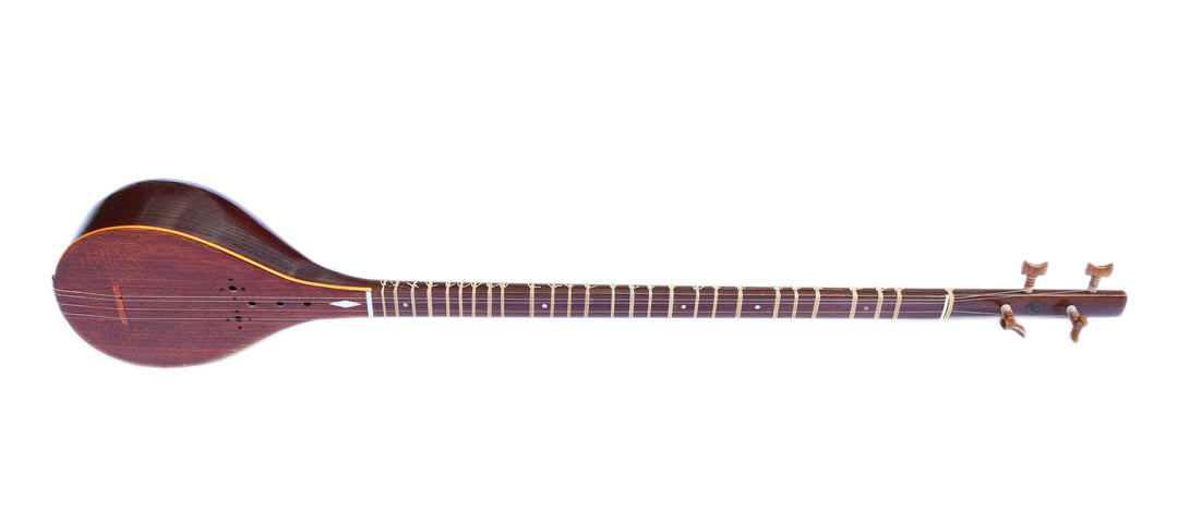 Mohammadi special setar ProSetar-20 Persian long-neck lute