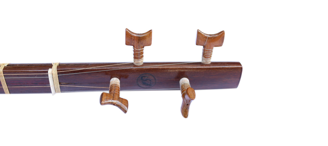 Mohammadi setar ProSetar-20 4-string handmade Persian instrument