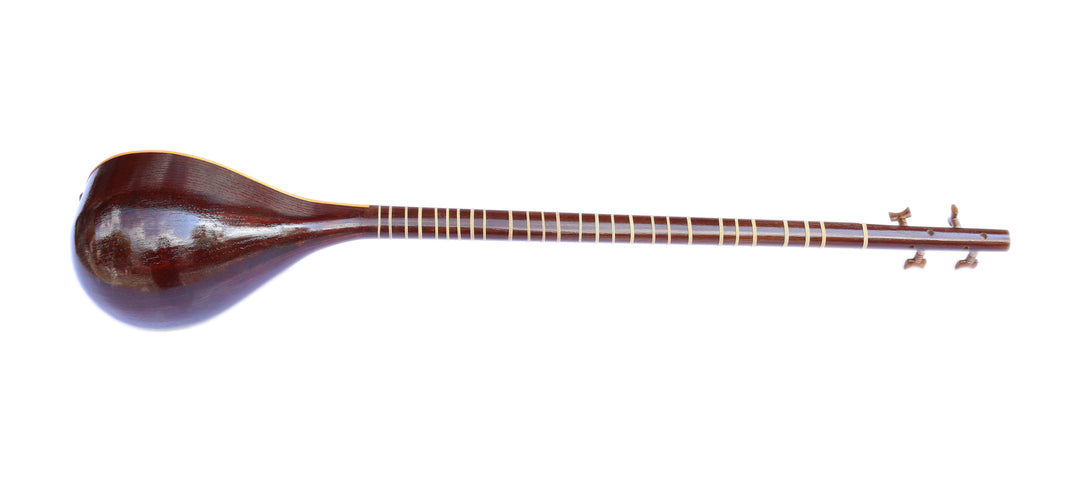Setar ProSetar-20 by Mohammadi handmade Persian classical instrument