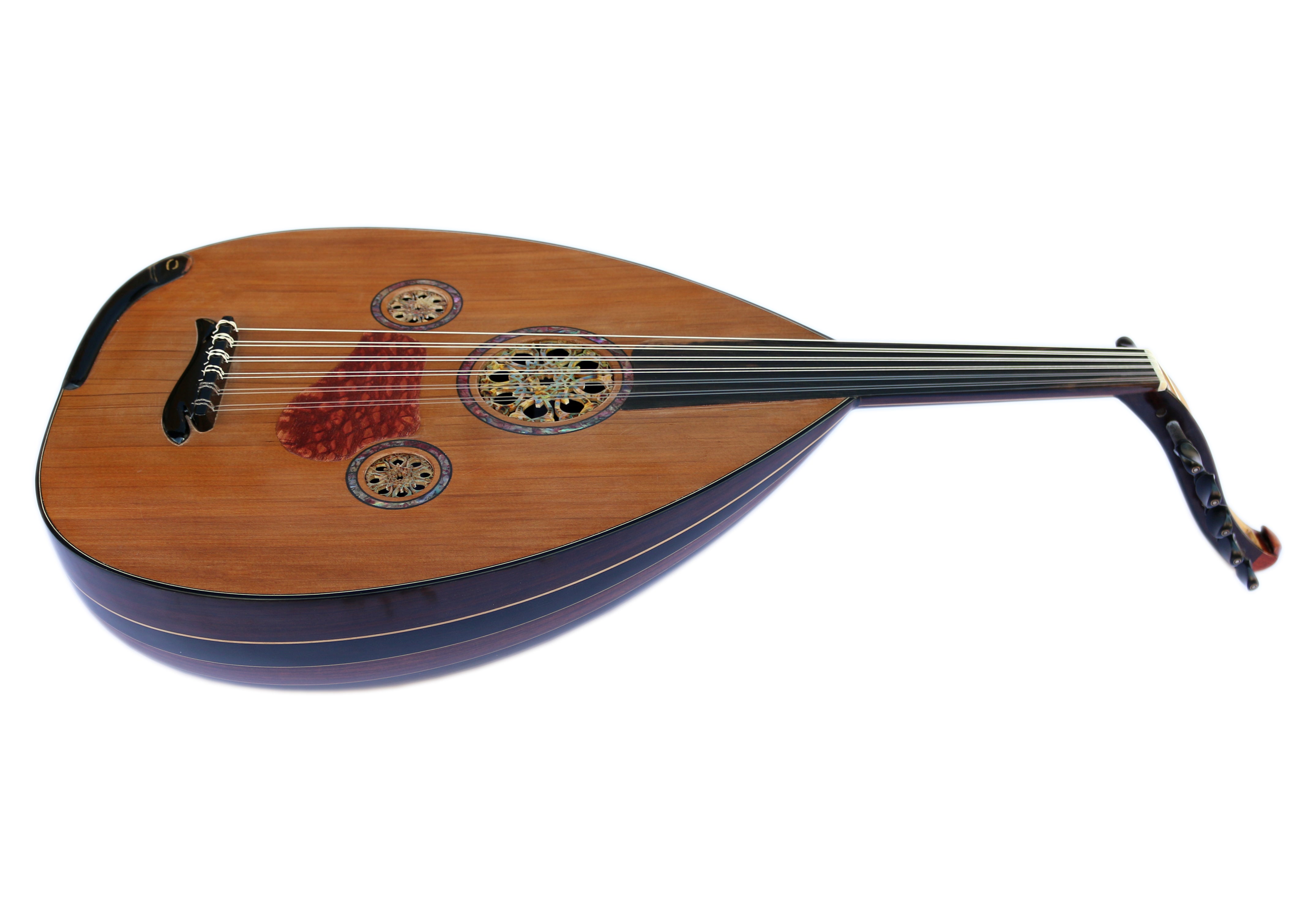 Arabische Oud CM-5 aus Ebenholz und Palisander mit Kanadischer Zeder und Knochenrozette
