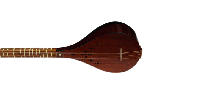 Left-handed setar NLS-301 by Nava with mulberry body Persian instrument