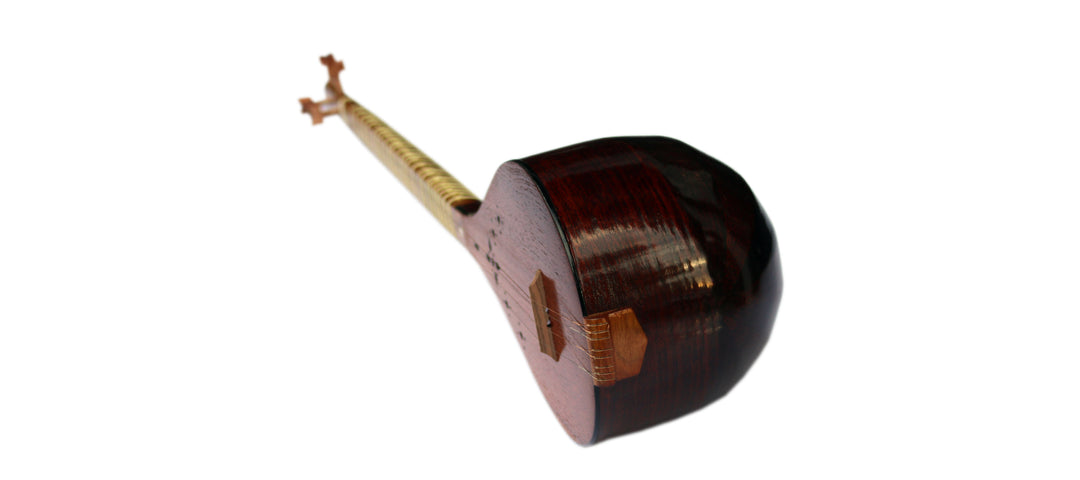 Nava setar NLS-301 luthier instrument mulberry body left-hand