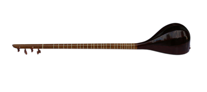 Left-handed setar NLS-301 by Nava concert Persian classical lute