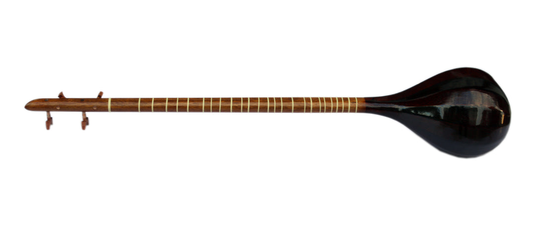 Nava left-handed setar NLS-301 mulberry-bodied Persian instrument