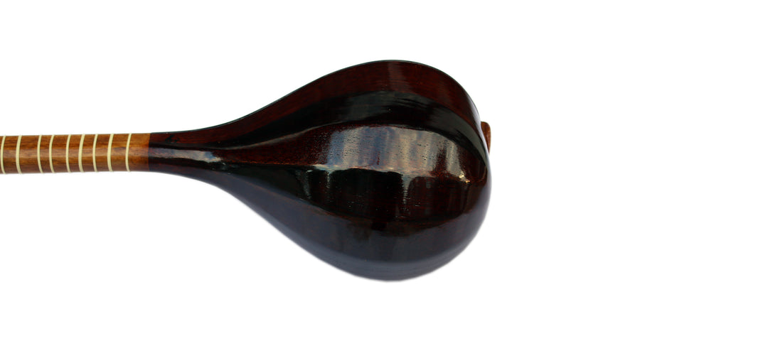 Setar NLS-301 by Nava traditional left-handed Persian lute