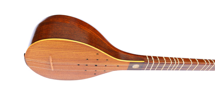 Persian setar KS-405 by Keykhahi with mulberry body and walnut neck