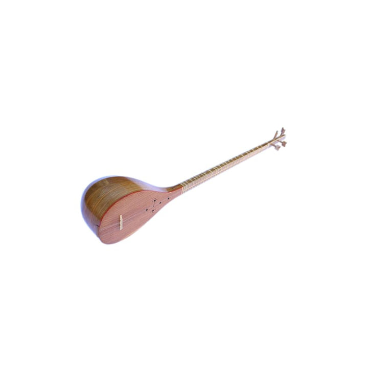 Setar NZS-205 by Nazari concert Persian plucked instrument
