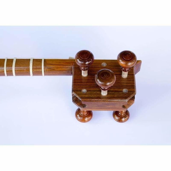 Molayi Persian tar AYT-307 double-bowl lute carved details