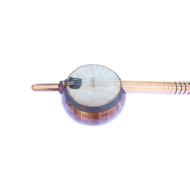 Rebab turco profesional BRP-404
