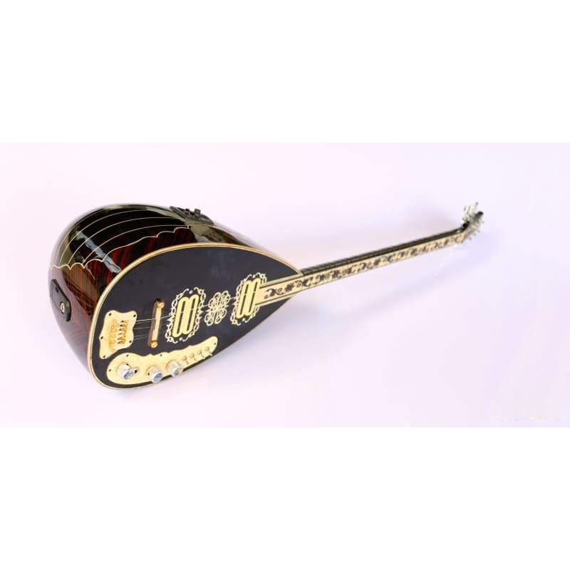 Handmade special electric saz SES-308GB by Sala